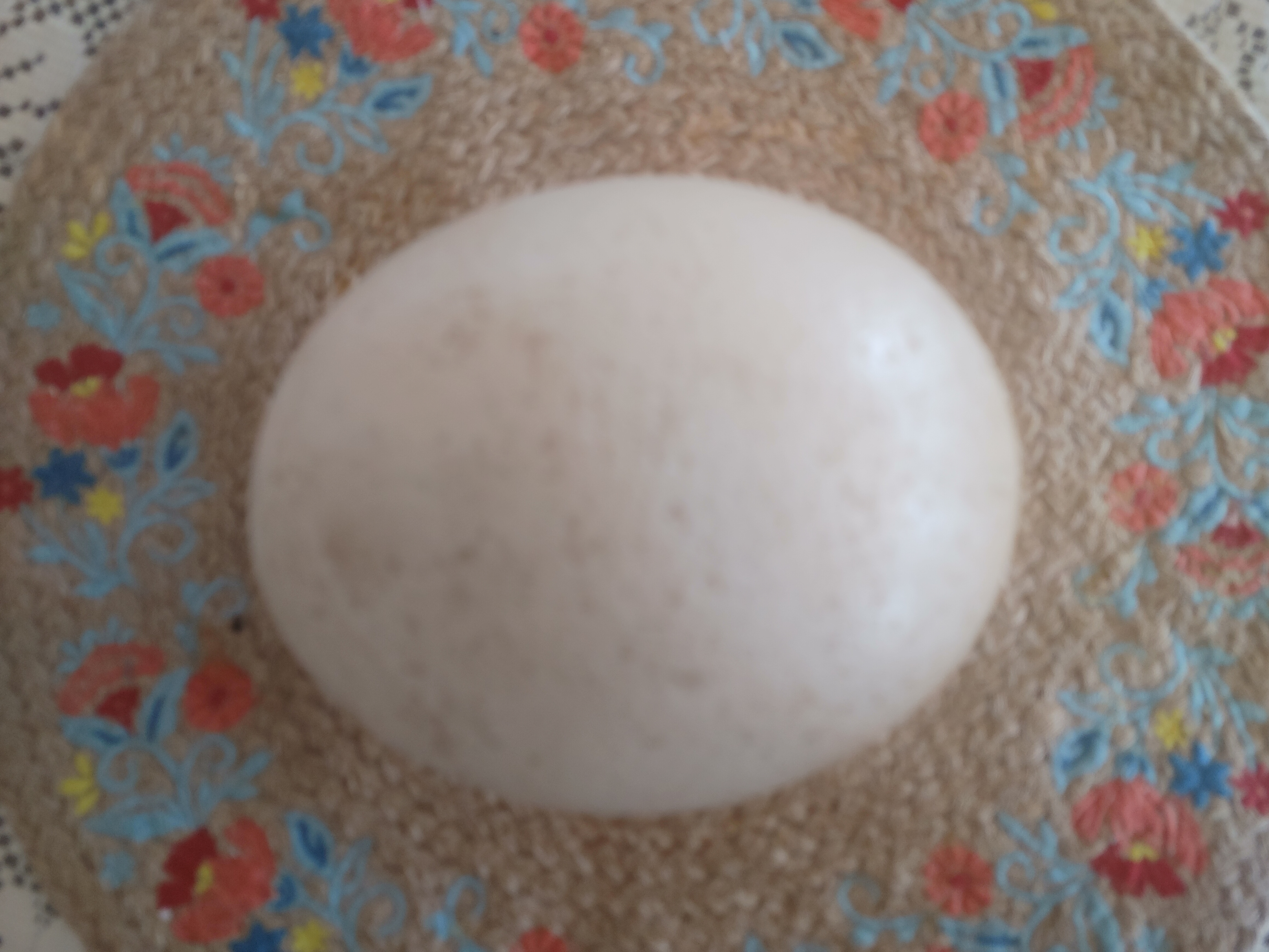 Ostrich Egg
